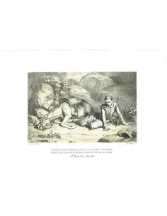 Don Quijote, Parte I, Capítulo XXVII