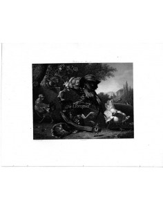 Combat de cogs (Riña de gallos)