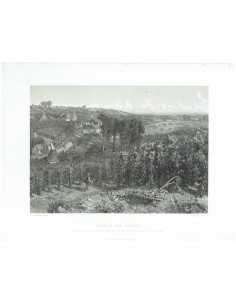 Kentish hop gardens (Plantaciones de lúpulo en Kent)
