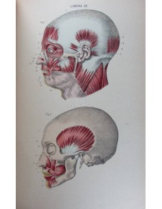 Atlas completo de anatomía humana descriptiva