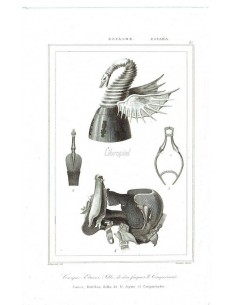 Casco, Estribos, Silla, de D. Jayme el Conquistador (48)